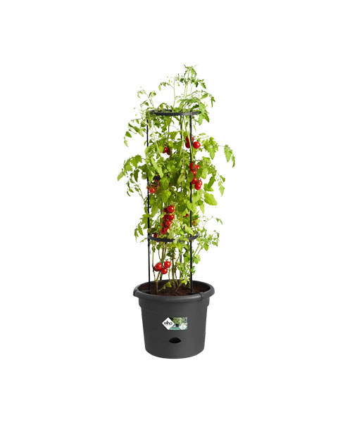 elho green basics tomaten pot 33cm living black